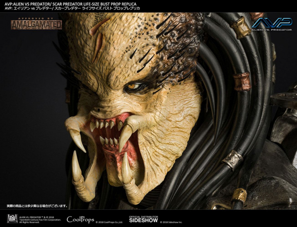 Scar Predator Bust 1/1