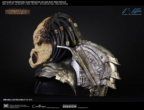 Scar Predator Bust 1/1
