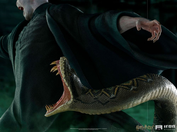 Voldemort & Nagini
