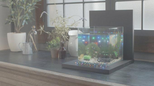 X-Base Wireless LED System