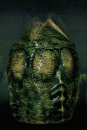 Xenomorph Egg Storage