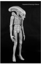 Big Chap Action Figure