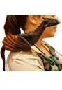 Drogon Shoulder Prop Replica