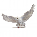 Hedwig Wandschmuck